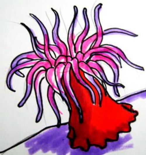 Как нарисовать водоросли. Морское дно рисунок — актиния и кораллы