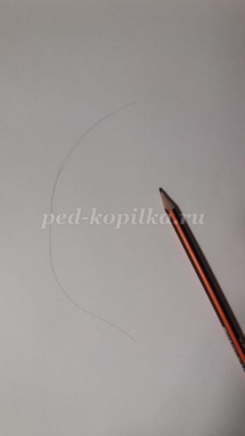 Рисунок аквариума с рыбками карандашом. Как нарисовать рыбку и аквариум — два мастер-класса 11