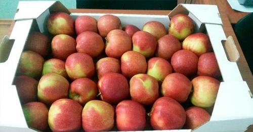 Как хранить яблоки Джули Ред. Как хранить яблоки: создаем оптимальную температуру для хранения зимой + правильно выбираем тару