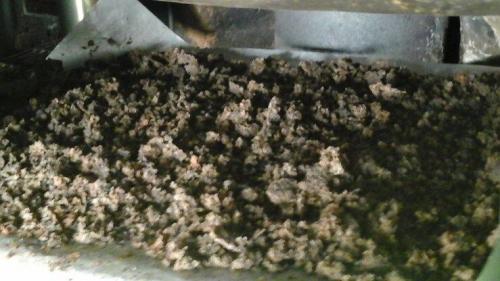 Заготовка топинамбура на зиму. Топинамбур рецепты приготовления на зиму