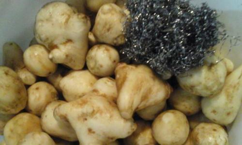 Заготовка топинамбура на зиму. Топинамбур рецепты приготовления на зиму