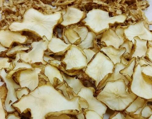 Как хранить топинамбур в погребе. Как хранить топинамбур в домашних условиях