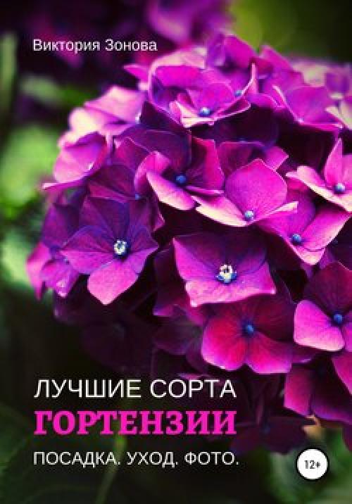 Гортензия дуболистная: легенда о волшебном цвету 02