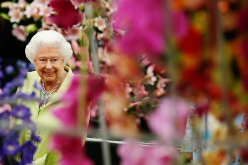 Челси садовая выставка 2024. Самые красивые сады Chelsea Flower Show. Фотографии