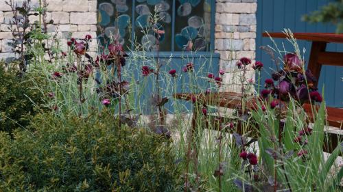 Челси садовая выставка 2024. Самые красивые сады Chelsea Flower Show. Фотографии