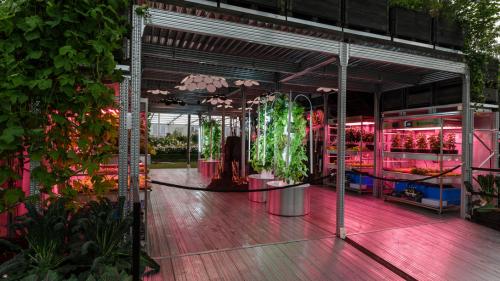 Челси садовая выставка 2024. Самые красивые сады Chelsea Flower Show. Фотографии