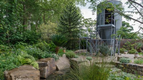 Челси садовая выставка 2024. Самые красивые сады Chelsea Flower Show. Фотографии