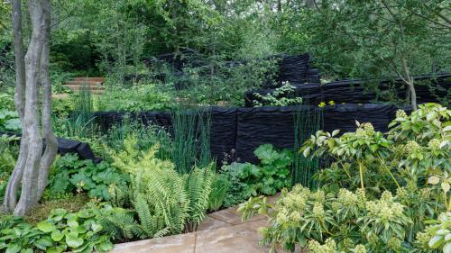 Челси садовая выставка 2024. Самые красивые сады Chelsea Flower Show. Фотографии