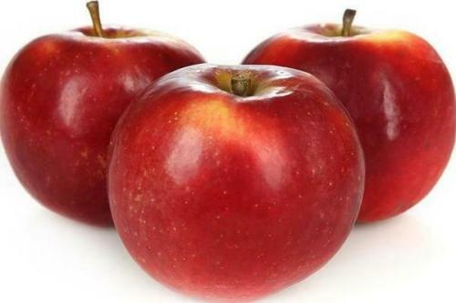 Яблоня Моди: описание сорта и его особенности