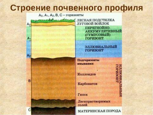 Какие методы сельского хозяйства могут привести к ухудшению качества почвы. Причины деградации почвы