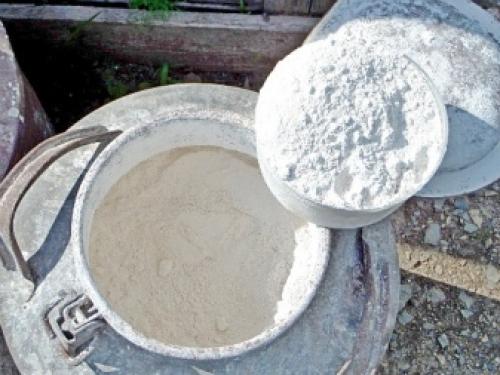 Как размножать многолетние флоксы. Как размножить флоксы черенкованием 10 Как размножать многолетние флоксы. Как размножить флоксы черенкованием 10