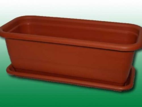 Как размножать многолетние флоксы. Как размножить флоксы черенкованием 12 Как размножать многолетние флоксы. Как размножить флоксы черенкованием 12