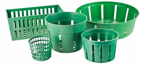 Посадка тюльпанов осенью в горшки. Как посадить тюльпаны в корзины осенью