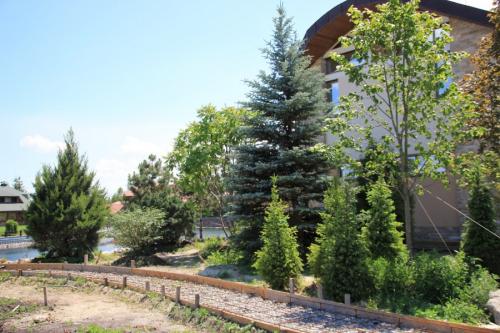 Какие деревья можно сажать возле дома а какие нельзя. Деревья возле дома — виды которые можно и нельзя сажать. 100 фото лучших вариантов для посадки