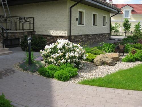 Какие деревья можно сажать возле дома а какие нельзя. Деревья возле дома — виды которые можно и нельзя сажать. 100 фото лучших вариантов для посадки