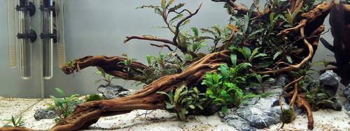 Аквариум на стене: простые шаги для создания живописной композиции 21