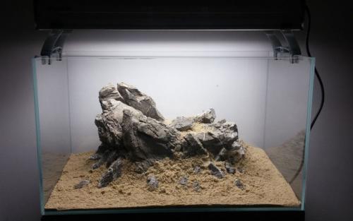 Аквариум на стене: простые шаги для создания живописной композиции 04