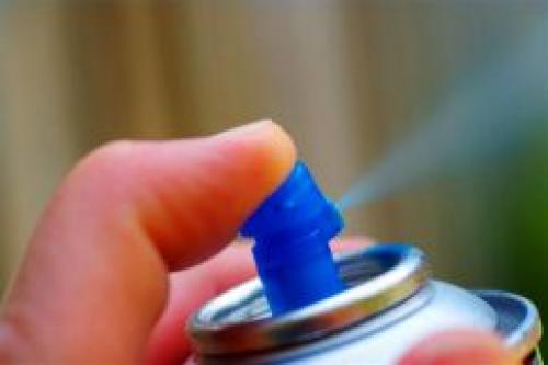 Как выбрать цветовую гамму для аквариума на стене. ВЫБИРАЕМ ЦВЕТ ФОНА