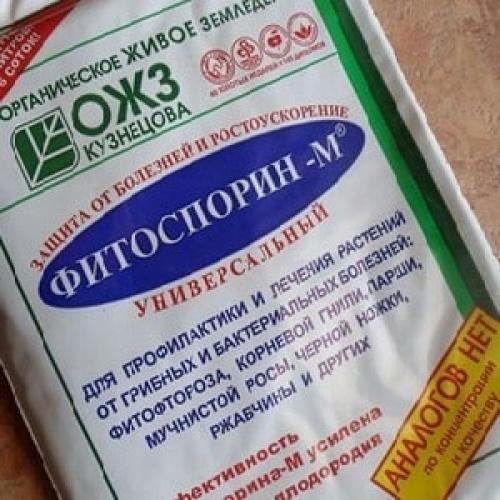 Как защитить посадки луковиц осенью от вредителей и болезней. Обработка лука перед посадкой под зиму