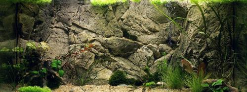 Аквариум на стене: простые шаги для создания живописной композиции 24