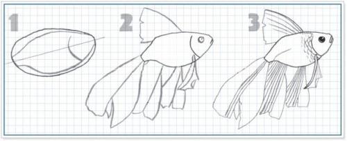 Как нарисовать рыб и других обитателей аквариума на стене. Азы ИЗО