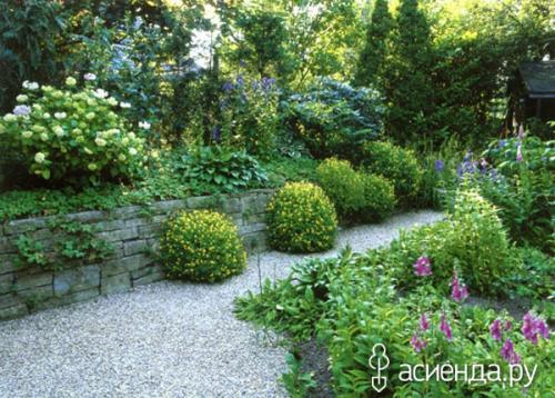 Как правильно ухаживать за зимостойкими декоративными кустарниками. Как правильно готовить к зимовке дачные кустарники