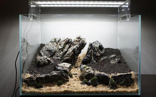 Аквариум на стене: простые шаги для создания живописной композиции 05