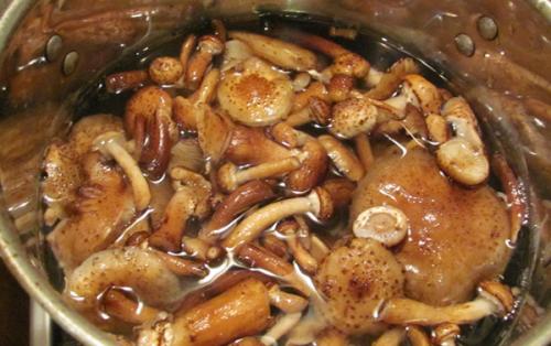 Грибная икра на зиму с уксусом. Грибная икра на зиму. Рецепты приготовления без стерилизации опят, подберезовиков, маслят, рыжиков