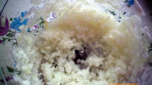 Грибная икра со сладким перцем на зиму: простые рецепты для домашнего приготовления 01