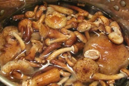 Как долго хранится грибная икра со сладким перцем на зиму. Грибная икра замороженная