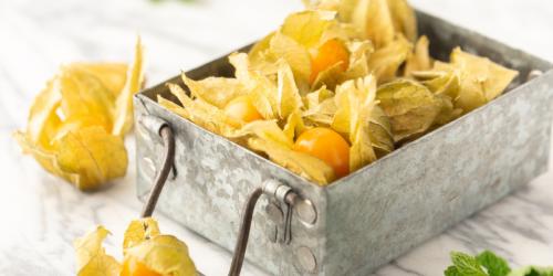 Отличное время для сбора: как определить, что физалис созрел 02 Отличное время для сбора: как определить, что физалис созрел 02