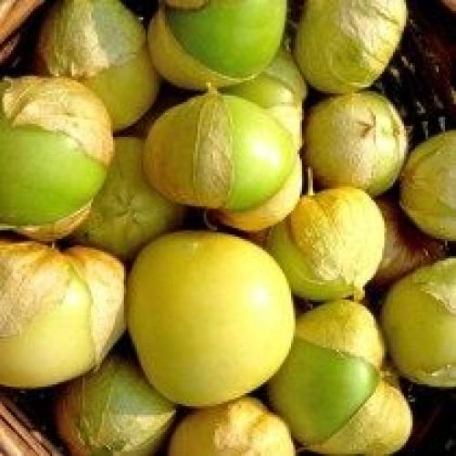 Как выглядит созревший физалис. Овощной физалис