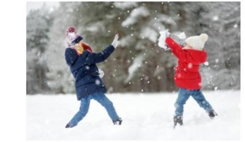 Устойчивость хвойных к зимним условиям: основные принципы поддержания здоровья 07 Устойчивость хвойных к зимним условиям: основные принципы поддержания здоровья 07