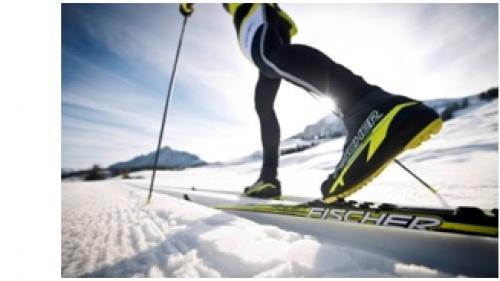 Устойчивость хвойных к зимним условиям: основные принципы поддержания здоровья 01 Устойчивость хвойных к зимним условиям: основные принципы поддержания здоровья 01