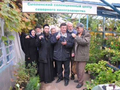 Зимостойкие сорта винограда: выбор для холодных регионов 05