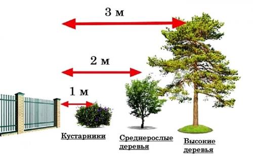 Правила и схема посадки плодовых деревьев на участке. Планировка сада: на что обращать внимание