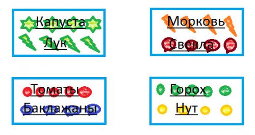 Схемы посадок деревьев и кустарников. Схема посадки овощей, севооборот, описание