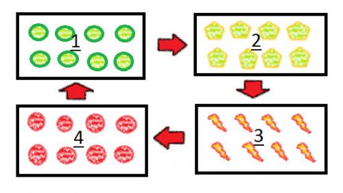 Схемы посадок деревьев и кустарников. Схема посадки овощей, севооборот, описание