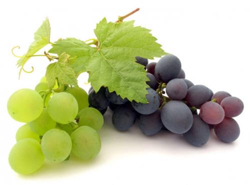 Какие особенности технологии производства вина из сорта винограда на А. Чем отличаются технические и столовые сорта винограда