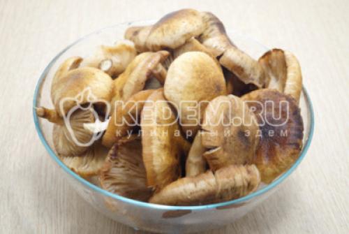 Икра грибная с чесноком. Грибная икра из опят с чесноком на зиму 01