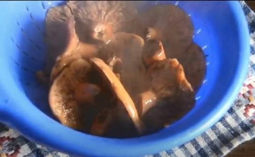 Грибная икра из рыжиков на зиму – лучшие рецепты приготовления