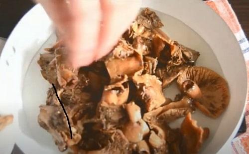 Грибная икра из рыжиков на зиму – лучшие рецепты приготовления