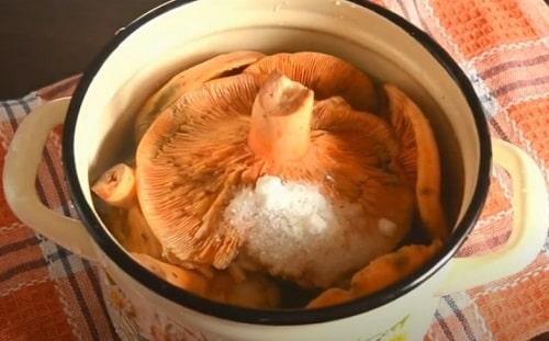 Грибная икра из рыжиков на зиму – лучшие рецепты приготовления