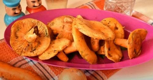 Грибная икра из рыжиков на зиму – лучшие рецепты приготовления