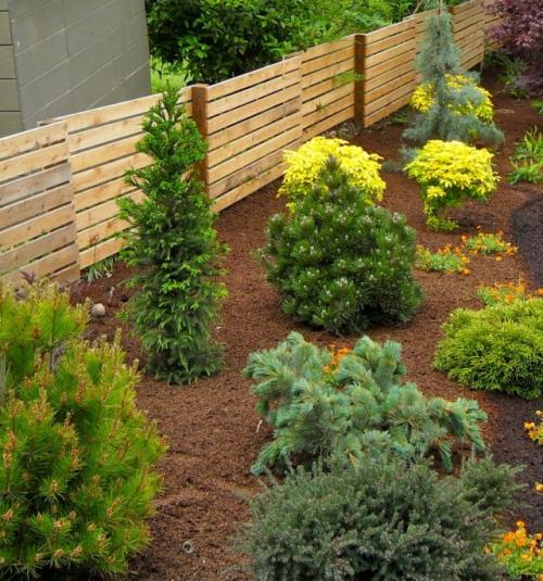 Как создать гармоничный садовый ландшафт с использованием хвойных деревьев и других растений. Правила создания цветника с хвойными растениями