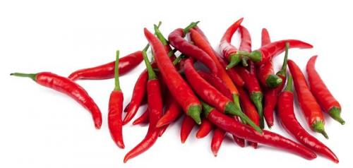 Как эффективны биопрепараты для защиты растений. Бойцы невидимого фронта: биопрепараты для сада и огорода