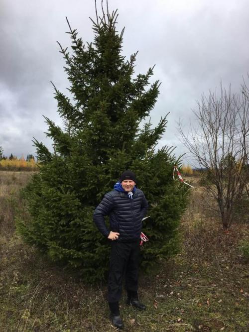 Выбор крупномеров для своего участка: основные принципы и рекомендации 02 Выбор крупномеров для своего участка: основные принципы и рекомендации 02