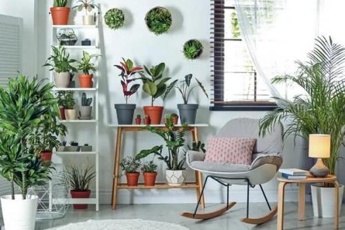 Как обеспечить достаточный уровень влажности в осенние месяцы. Влажность воздуха в квартире и доме — нормы, как измерить и как регулировать