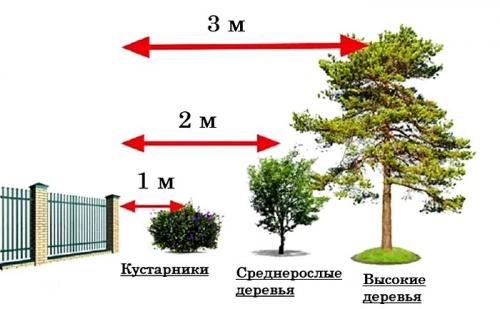 Как разбить плодовый сад на участке. Планировка сада: на что обращать внимание