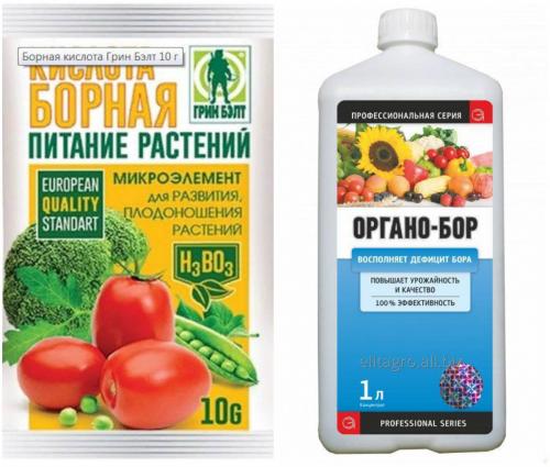 Как определить, что растение поражено болезнью, которую можно лечить с помощью борной кислоты. Борная кислота для растений: необходима, но опасна